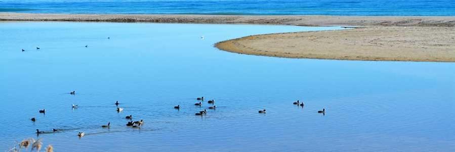 Verano Azul 部屋 写真